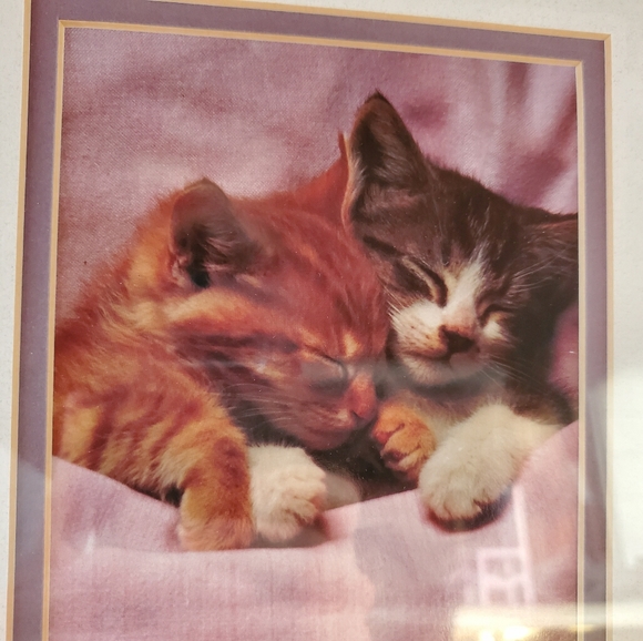 ☆ SUPER CUTE SLEEPING KITTENS SNUGGLING ☆ WALL ART - Picture 3 of 8